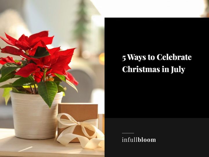 Red flower in a white pot beside a gift with white ribbon
