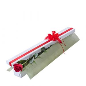 one red rose in a gift box