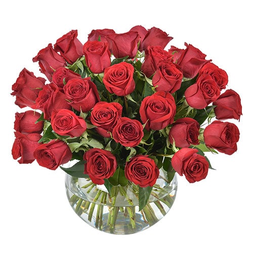 enchanting red roses in a transparent vase zoom in