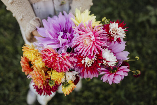 beautiful-flower-bouquet-2025-02-10-01-44-51-utc-600x400