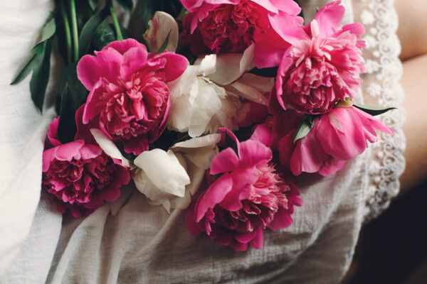 lovely-pink-peonies-600x400